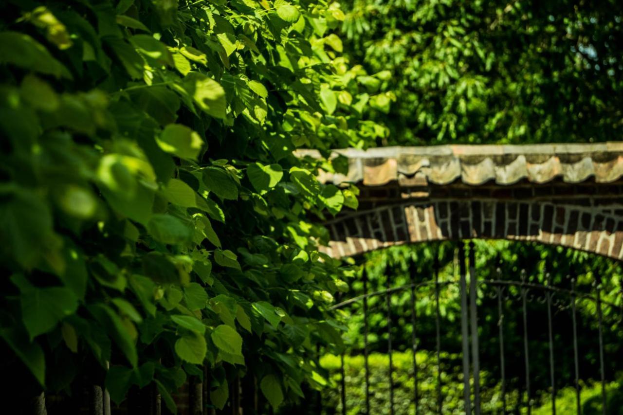 A Casa Nostra - Huiselijk En Gezellig Overnachten - Exclusief Ontbijt Well  エクステリア 写真